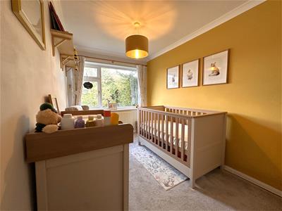 Picture 13